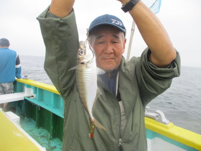 アジ(マアジ)