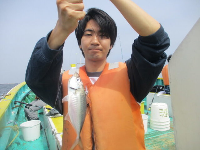 アジ(マアジ)