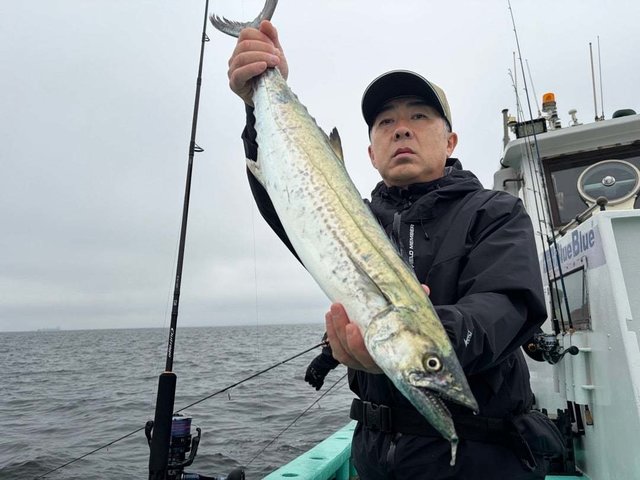 サワラ