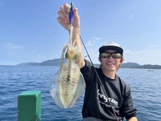 アオリイカ