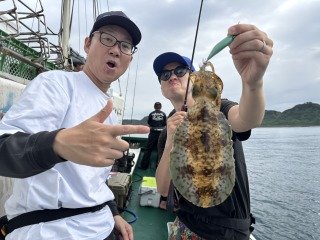 アオリイカ