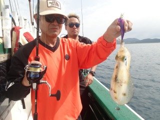 アオリイカ