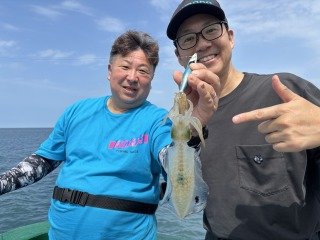 アオリイカ
