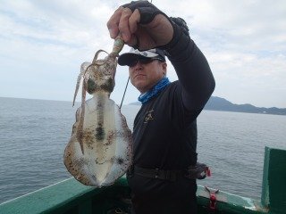 アオリイカ