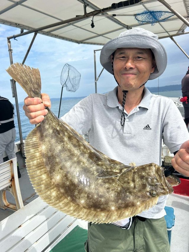 ヒラメ