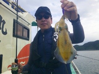 アオリイカ
