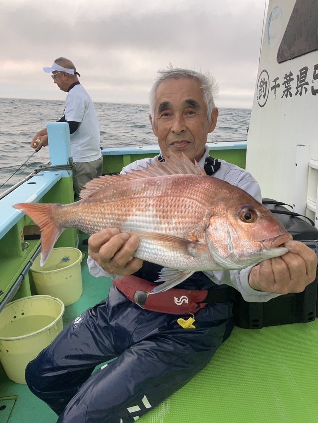 マダイ