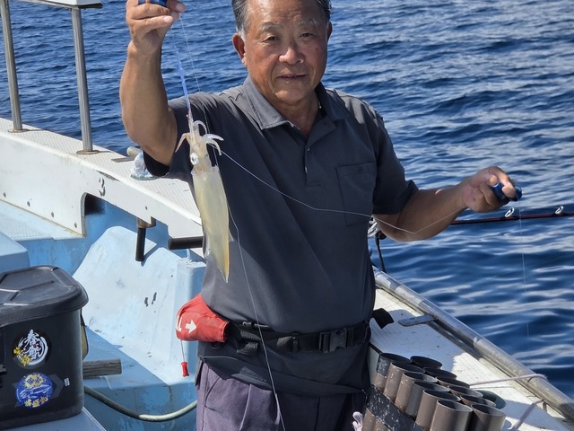 ヤリイカ