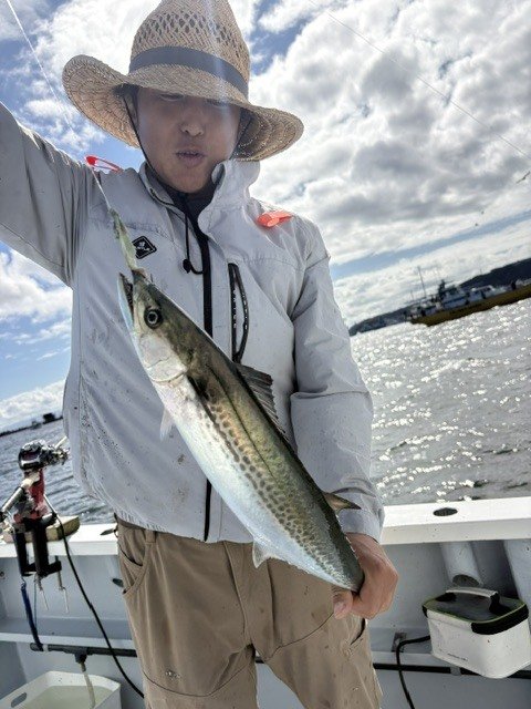 サワラ