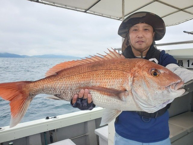 タイ(マダイ)