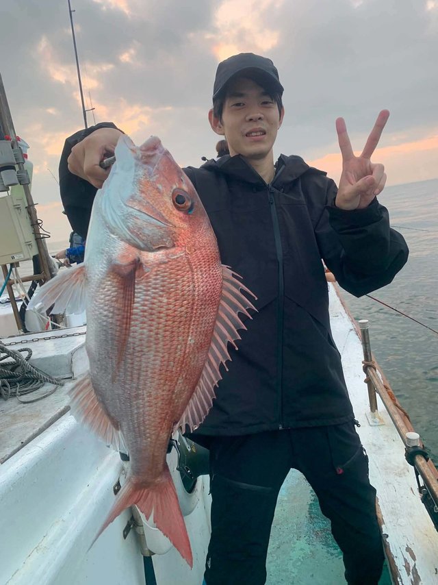 マダイ