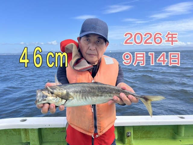 アジ(マアジ)