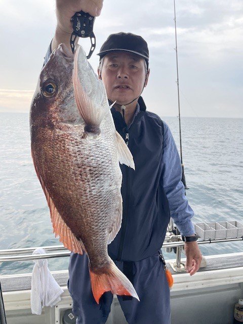マダイ