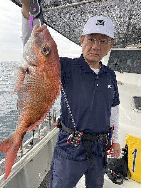 マダイ
