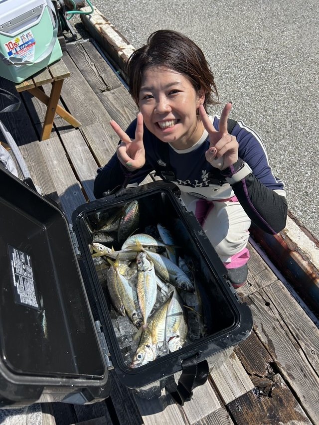 アジ(マアジ)
