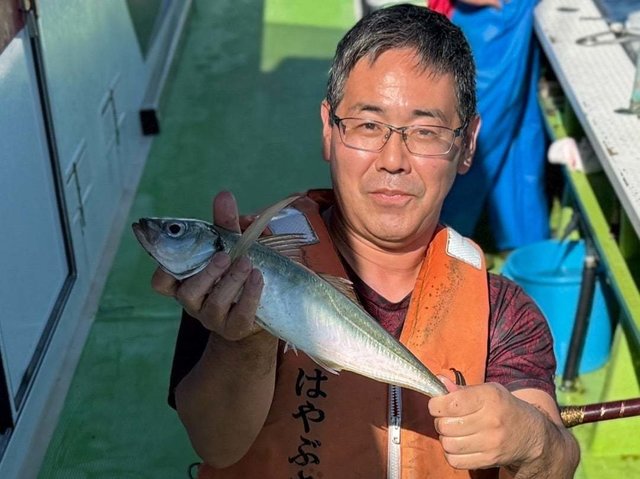 アジ(マアジ)