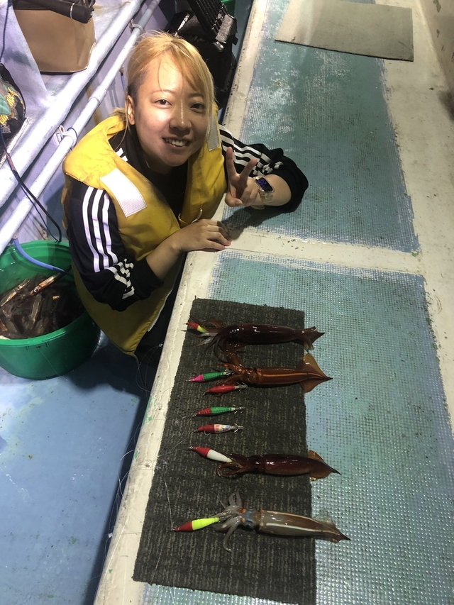 スジイカ