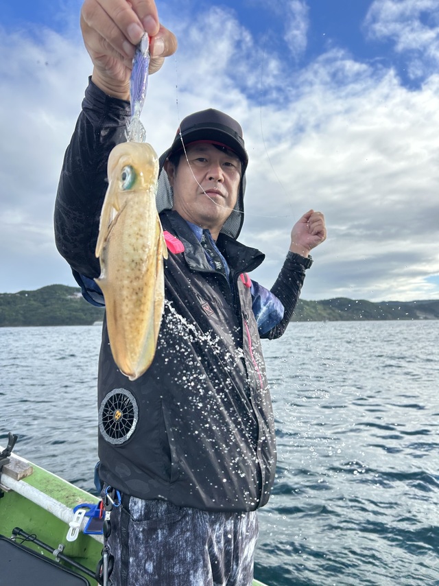 アオリイカ