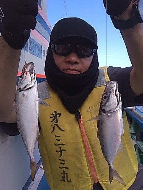 アジ(マアジ)