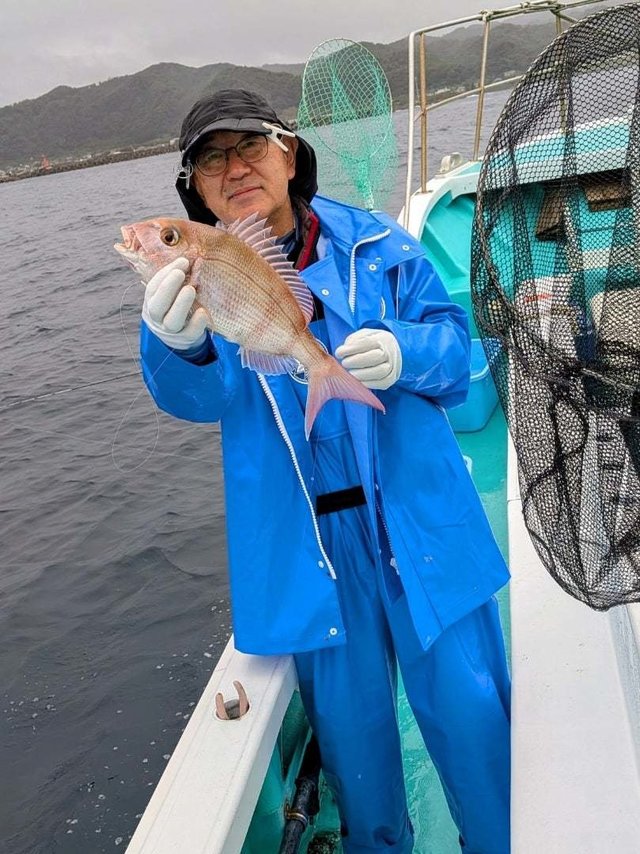 マダイ