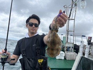 アオリイカ