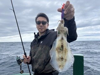 アオリイカ
