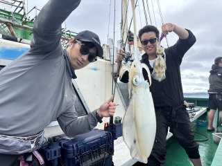 アオリイカ