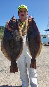 ヒラメ