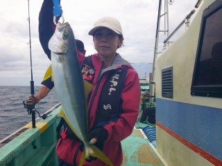ヒラマサ