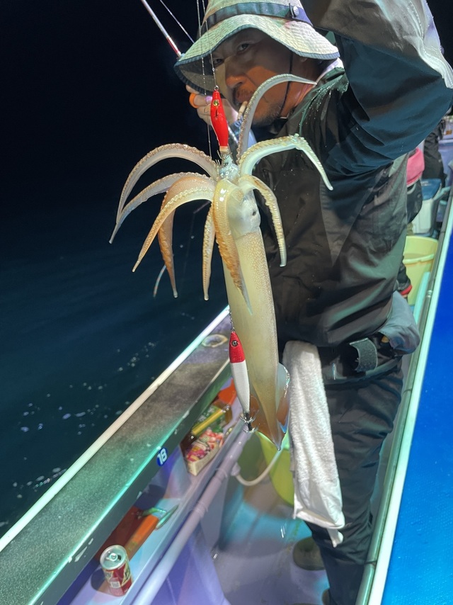 スルメイカ