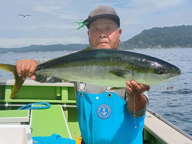 ワラサ(ブリ)