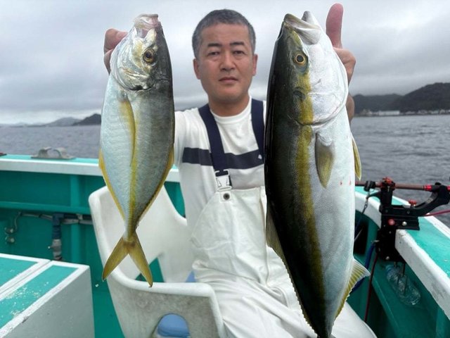 シマアジ・イナワラ(ブリ)