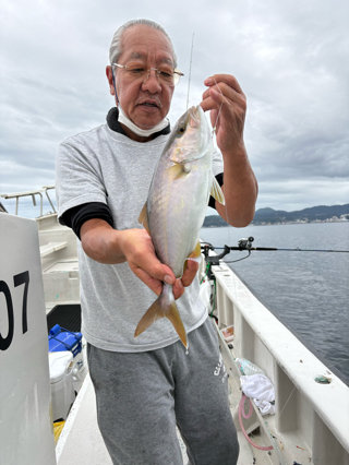 ショゴ(カンパチ)