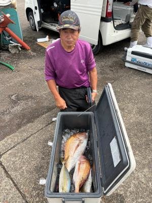 マダイ