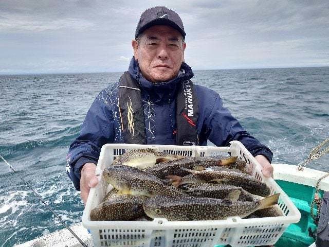 ショウサイフグ