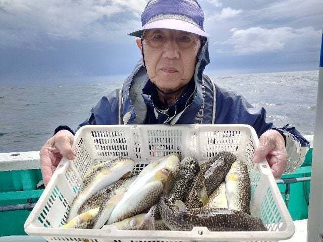 ショウサイフグ