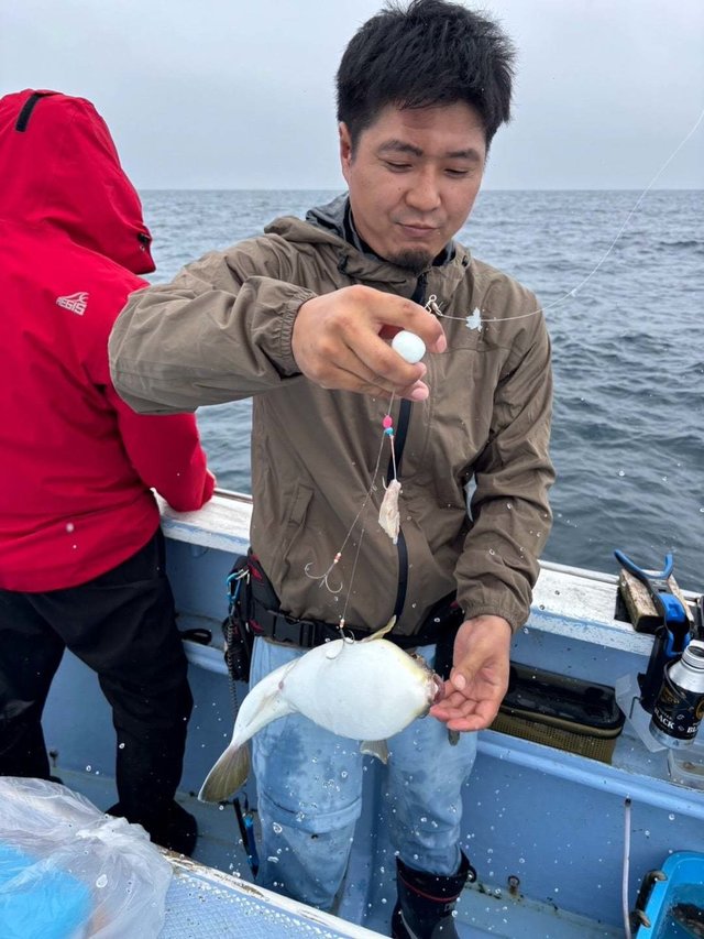ショウサイフグ