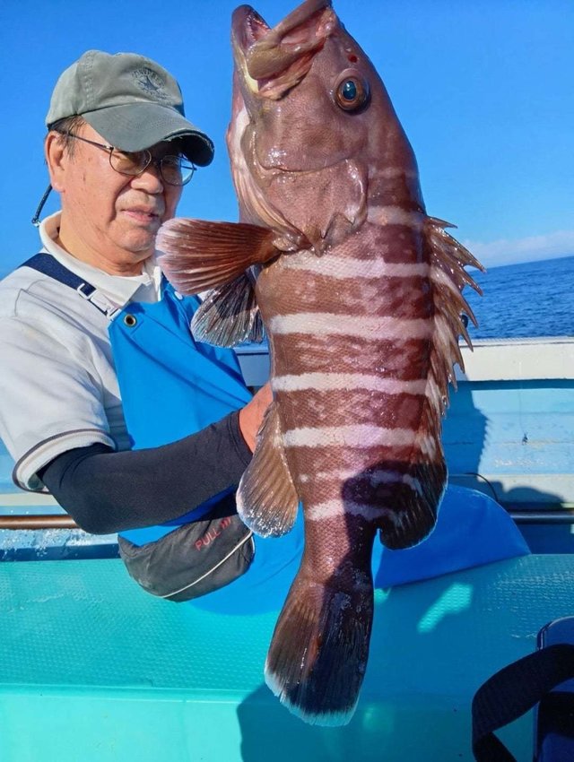 マハタ