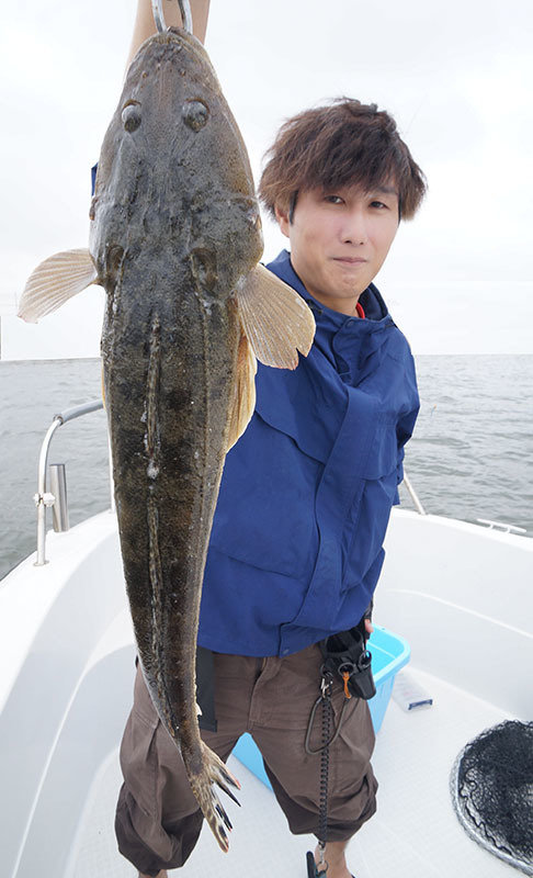 マゴチ