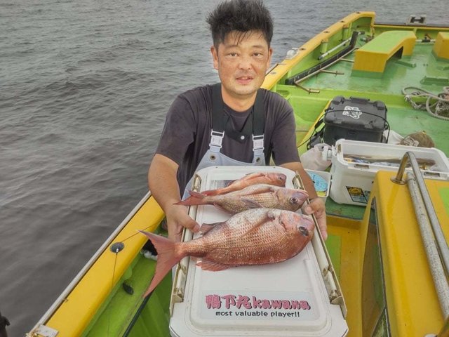 マダイ