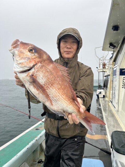 マダイ