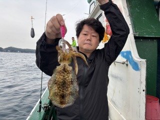 アオリイカ
