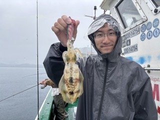 アオリイカ