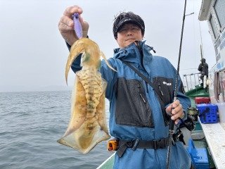 アオリイカ