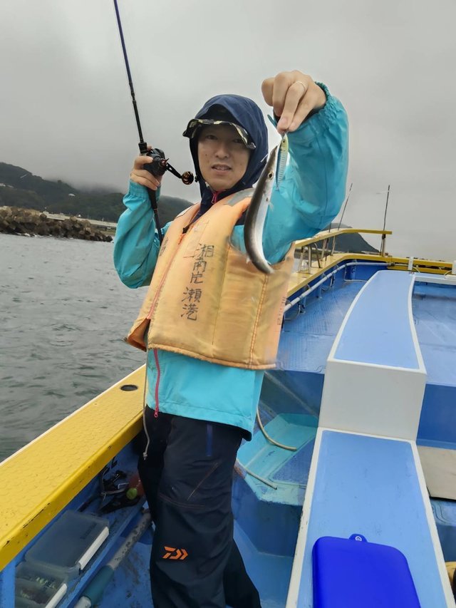 カマス(アカカマス)