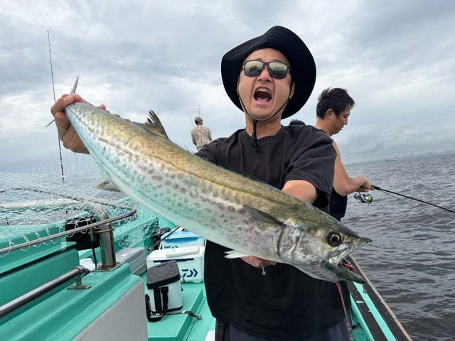 サワラ