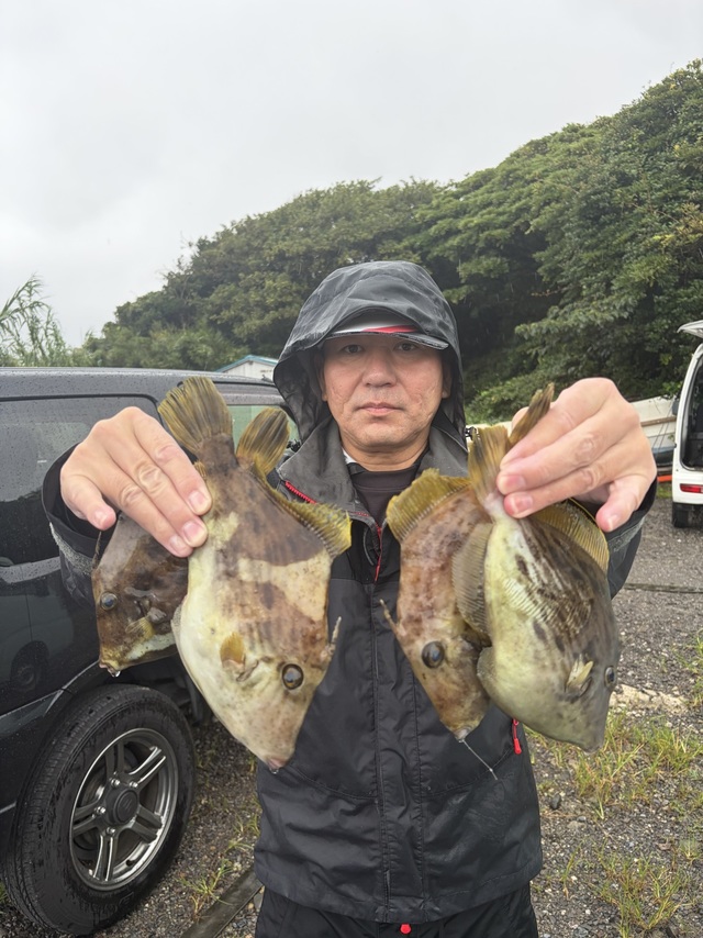 カワハギ
