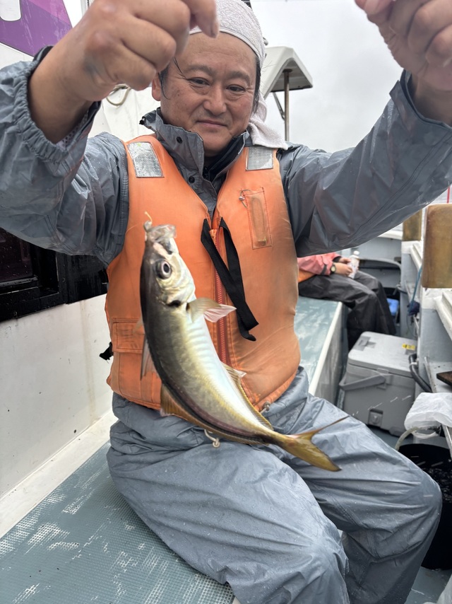 アジ(マアジ)
