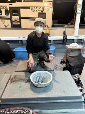 アオリイカ