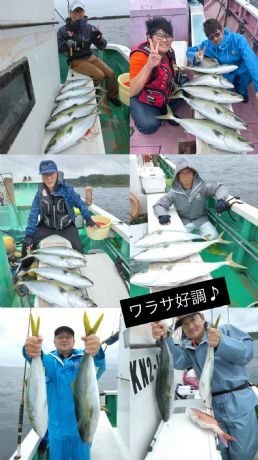 マダイ・ワラサ(ブリ)
